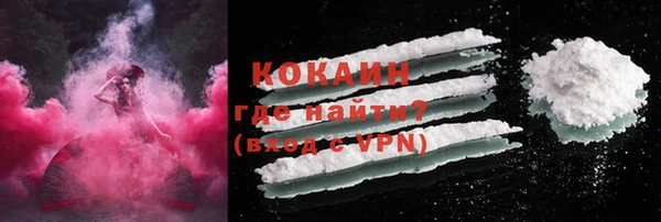 гидра Белокуриха