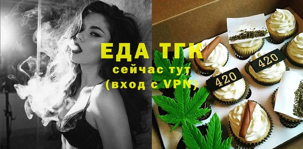шишки Сясьстрой