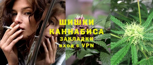 гидра Белокуриха