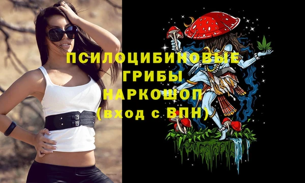 эйфоретик Беломорск