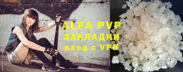 гидра Белокуриха