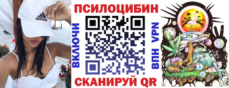 Псилоцибиновые грибы мицелий  наркота  Плёс 
