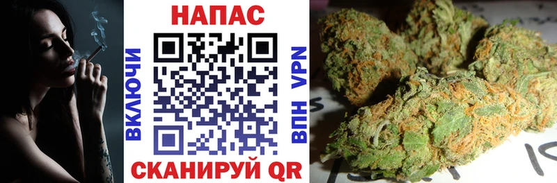 наркота  Плёс  Канабис марихуана 